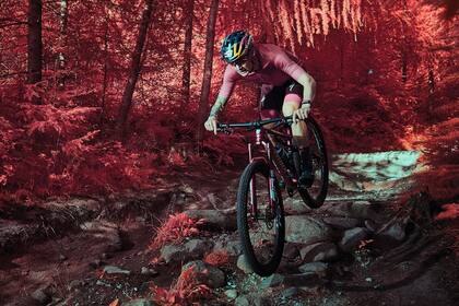 Aventura infrarroja por los bosques de Dinamarca