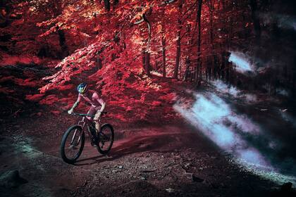 El bosque de Rude Skov, en la región de North Zealand de Dinamarca