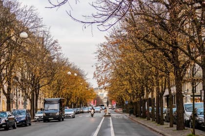 Avenue Montaigne - París