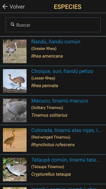 Aves Argentinas