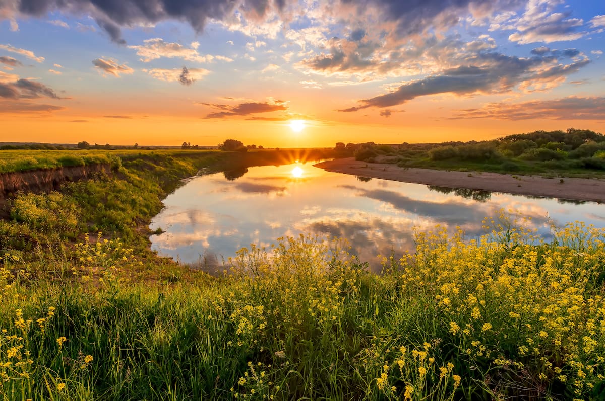NASH, Stanley S. - LA NACION