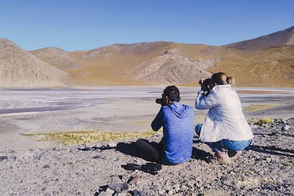 Avistaje de aves, uno de los atractivos de las Lagunas Altoandinas y Puneñas