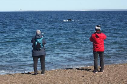 Avistaje de ballenas en Playa El Doradillo, al norte de Puerto Madryn