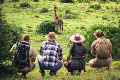 Avistajes en Shamwari