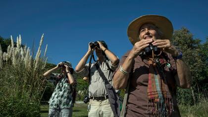 Los tejidos de colores neutros son recomendados para avistar aves