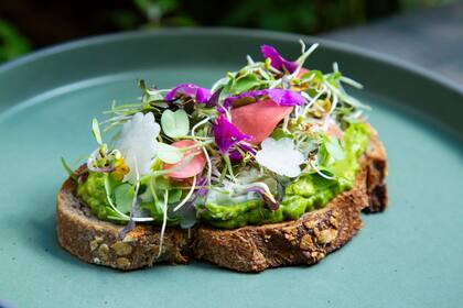 Avocado toast (puré de palta, crema agria de limón y albahaca en pan de masa madre con nuez)