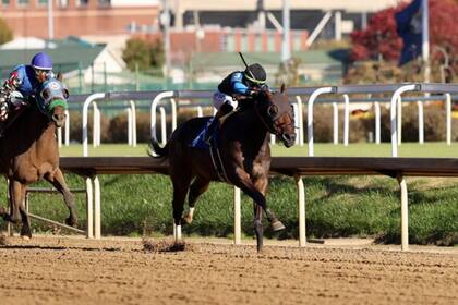 Awesome Hawaiian debutó en los hipódromos en Churchill Downs, la mítica sede del comienzo de la Triple Corona norteamericana