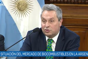 Axel Boerr, presidente de Capba, y uno de los oradores en el Senado