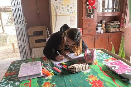 Ayelén es muy aplicada en la escuela, le encantan las matemáticas y quiere seguir la carrera de Psicología