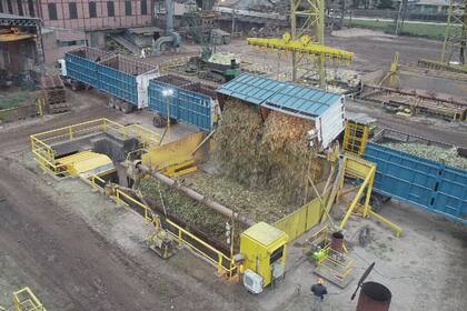 Comienzo de la zafra en el complejo agroindustrial Ledesma 