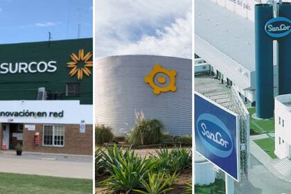 Ayer tres reconocidos grupos del agro se presentaron a concurso: Surcos, Los Grobo y SanCor