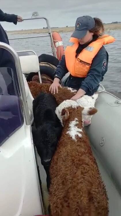 Ayer y hoy bomberos de Pila ayudaron en operativos ante las inundaciones