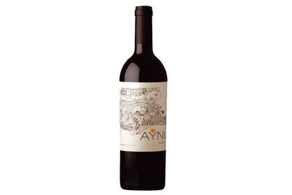 Ayni Malbec 2015