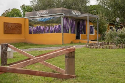 Azafrán Mediterráneo, en las afueras de Villa General Belgrano