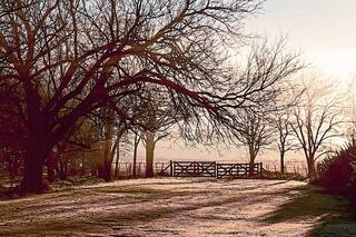 Levy Yeyati: "Ninguna reforma será posible sin un espacio en común"