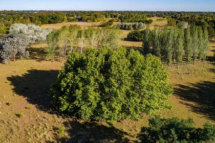 La naturaleza es considerada el nuevo lujo