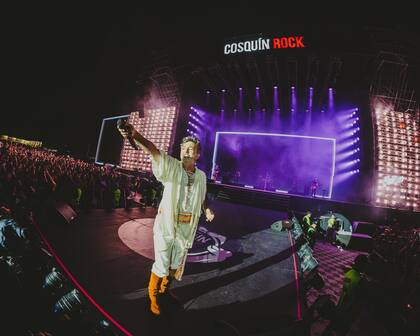 Babasónicos hizo vibrar al público del Cosquín Rock que se congregó en el escenario Sur para cantar a viva voz los hits de la banda