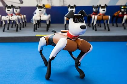 BabyAlpha, el perro robot de la empresa Weilan