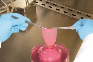 Agroindustria y Biotecnología: no subestimar las amenazas emergentes