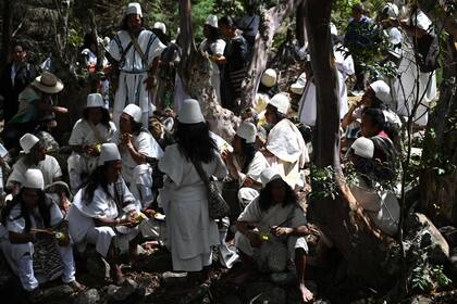 Bajo un enorme árbol sagrado, los sabios indígenas arhuacos mastican coca y reflexionan sobre el futuro de la mítica Sierra Nevada de Colombia