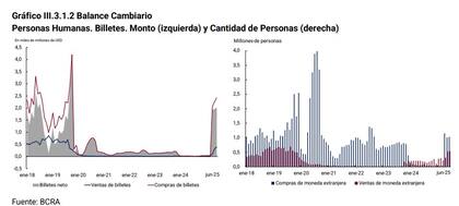 Balance cambiario de los ahorristas minoristas.
Fuente: BCRA