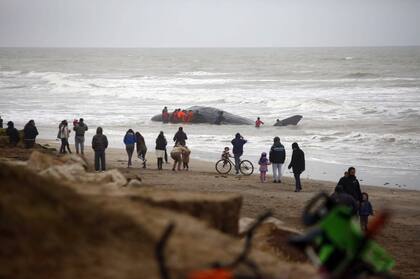 El intento por parte de los que participaron en el operativo se complicó por el caudal del agua