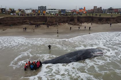 Gente de la zona se acercó a ver el operativo