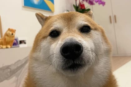 Balltze, mejor conocido como Chems, se encontraba delicado de salud en los últimos meses