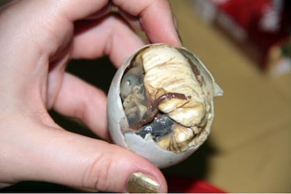 Balut