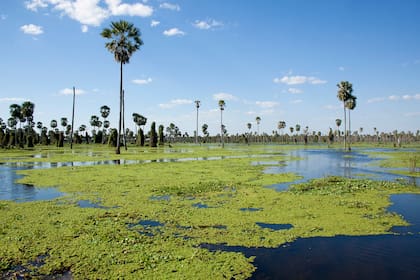 Bañado La Estrella, Formosa