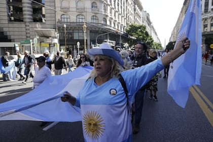 Banderas en la protesta