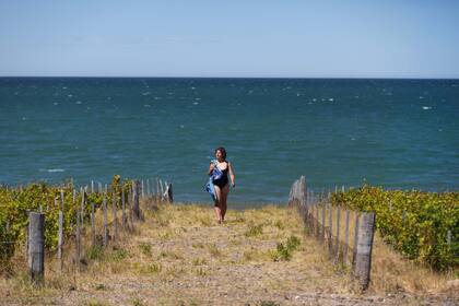 Baño de mar entre viñedos.