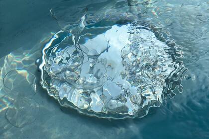 Baños en agua helada, la tendencia que gana importancia entre deportistas y artistas