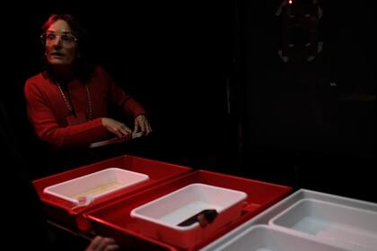 Vivian Galban revela las fotos dentro de la cámara oscura que construyó dentro de la feria