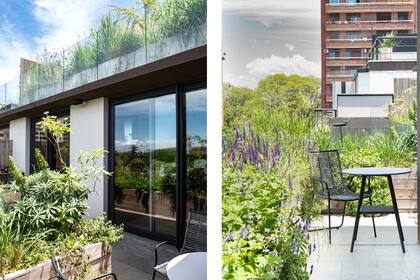 Barandas de vidrio que dejan que las plantas se vean desde el piso de abajo. En el balcón de la cocina, un sector para transitar donde se ubicó una pequeña mesa a la sombra de un fumo bravo.
