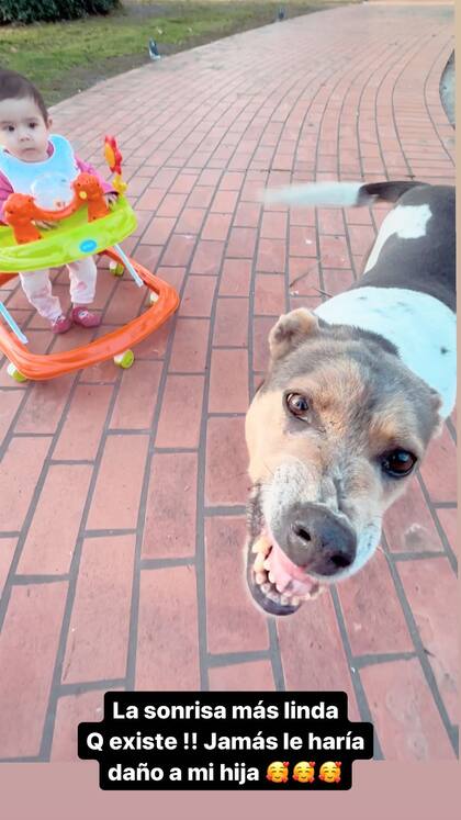 Barbie Franco indicó que su perra enseña los dientes como un reflejo de felicidad y no una actitud para morder