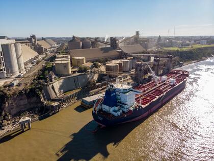 Barcos a la espera de cargar cereales en puertos de San Lorenzo, radas de Molinos y Vicentin