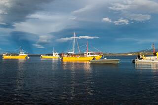 Puerto Almanza, cuna de la centolla fueguina