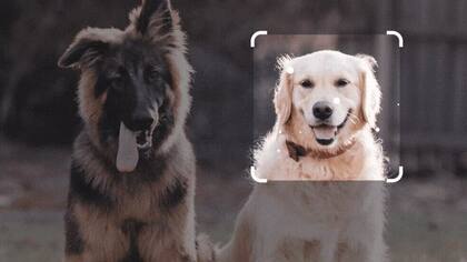 Bard igualó la capacidad multimodal de ChatGPT-4, la cual permite la lectura del contenido de imágenes.