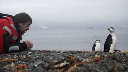 Bardem se llevó bien con los pingüinos