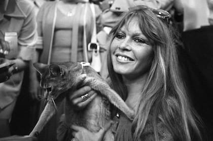 Bardot en una exposición internacional de felinos en Saint-Tropez, el 4 de junio de 1977