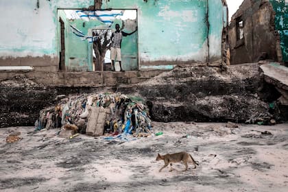Una casa permanece en pie sobre la costa erosionada