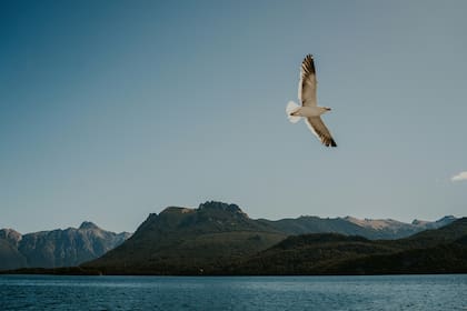 Bariloche es una oportunidad de desconectarse de la ciudad y lograr una tranquilidad con la naturaleza