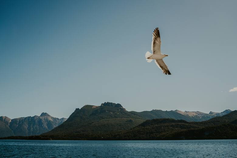 Bariloche: el destino turístico argentino más caro del mundo