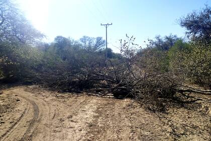 Barricadas sobre los caminos que se desprenden de la ruta nacional 54 construídas por pobladores originarios para evitar el acceso de comerciantes a las comunidades, ante el avance de la pandemia en zonas de frontera