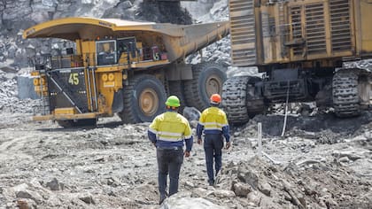 Barrick buscará evaluar el potencial completo del proyecto Fourmile