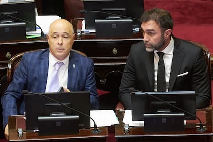 Bartolomé Abdala y Ezequiel Atauche, figuras libertarias en el Senado