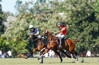 La Natividad-La Dolfina volvió a arrasar: ahora, a un equipo de... 37 goles