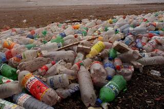 Pospandemia. La clave ambiental