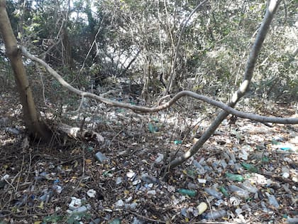 Basura en las inmediaciones del arroyo El Gato